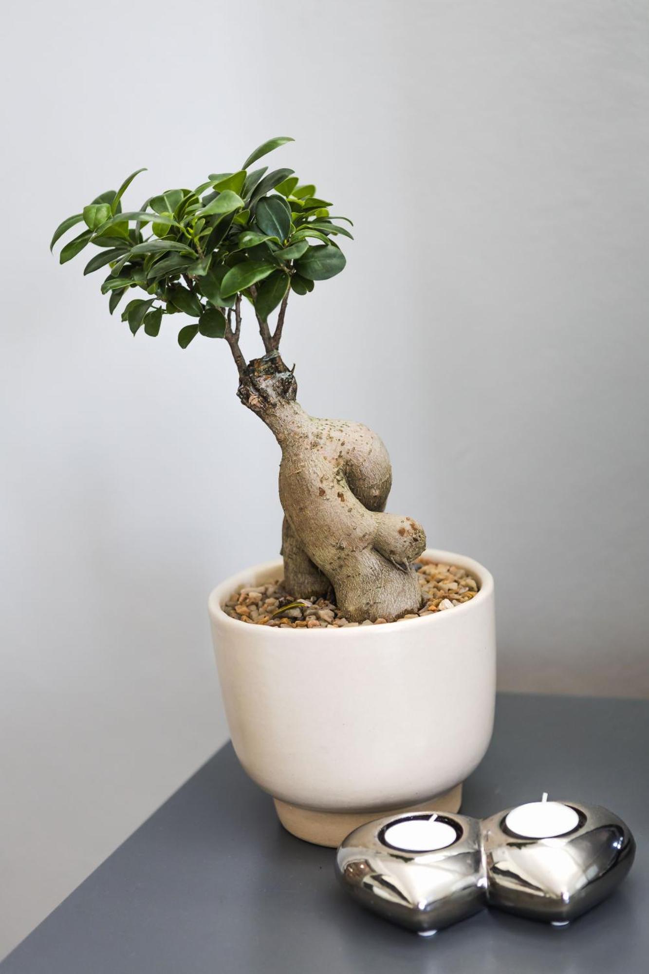 לאנגבאן Namaste Spacious Studio Apartment מראה חיצוני תמונה
